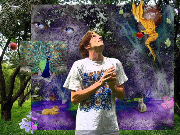 визуализация