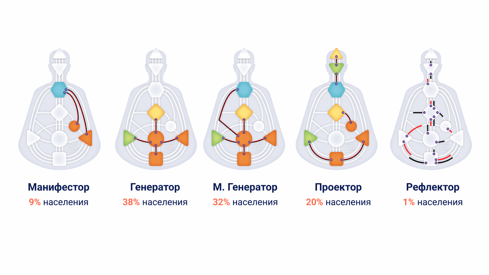 5 типов в дизайне человека
